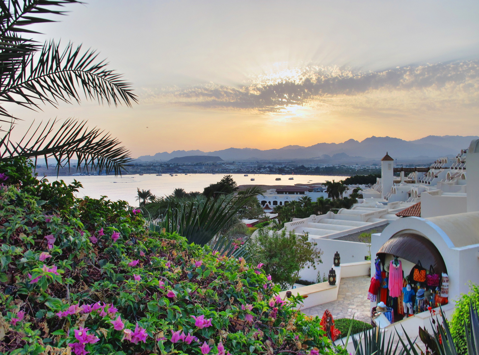 Movenpick resort sharm el sheikh 4. Шарм-Эш-Шейх Movenpick. Movenpick Resort Sharm el Sheikh. Movenpick Hotel Sharm el Sheikh 5. Movenpick Sharm el Sheikh рыбы.