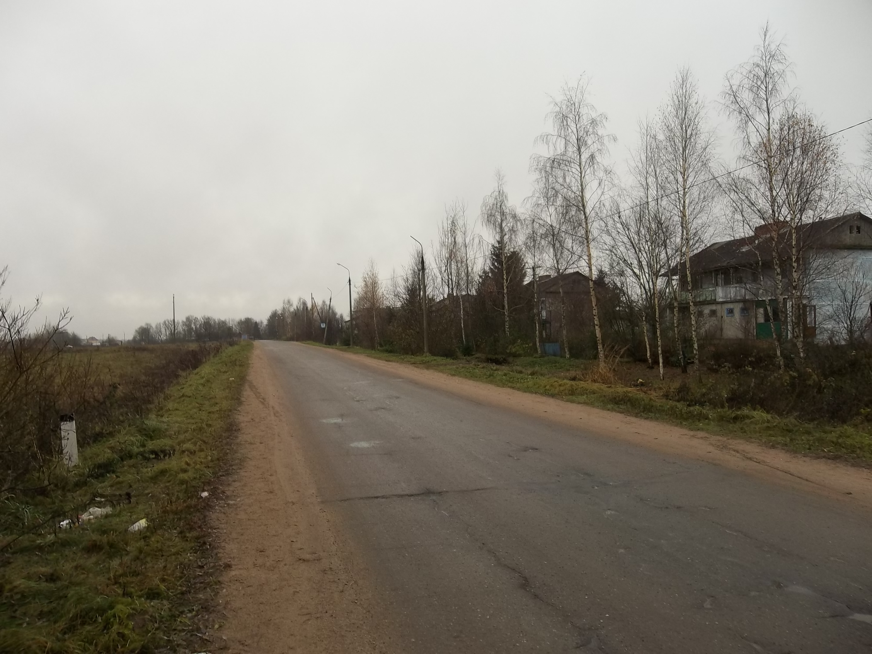 Дуброво. Дуброво Псковский район. Деревня Дуброво Псковская. Логозовская волость.