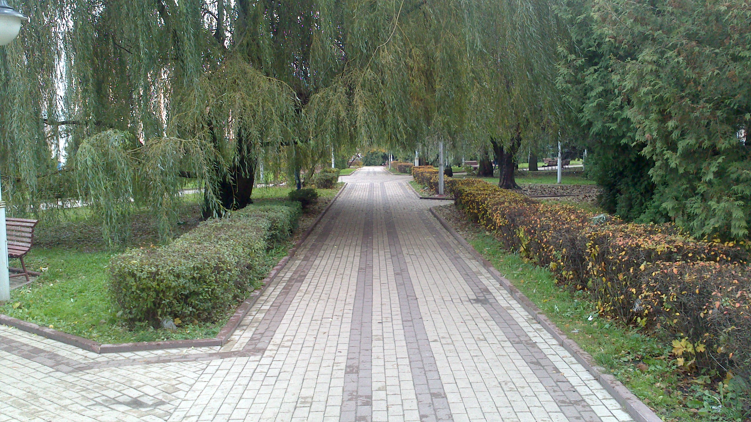 андреевский парк брянск