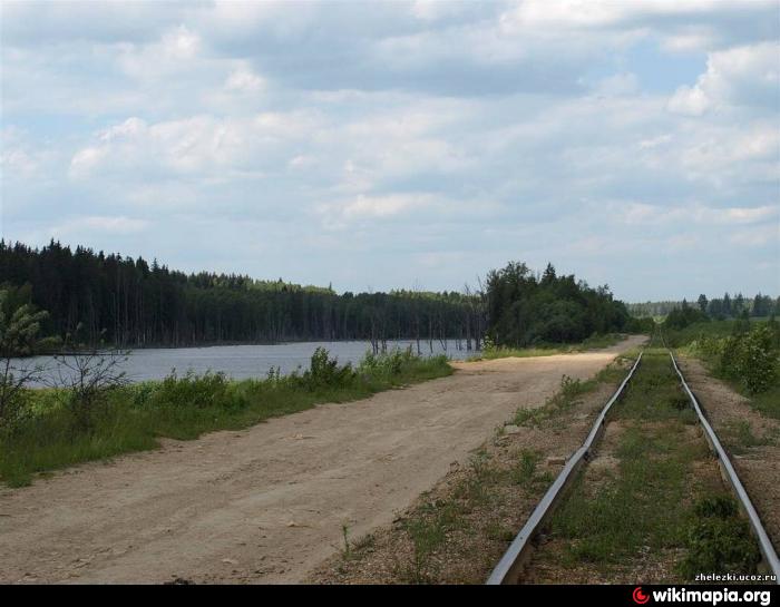 Озеро Коряжник: информация о рыбалке в Рузском районе