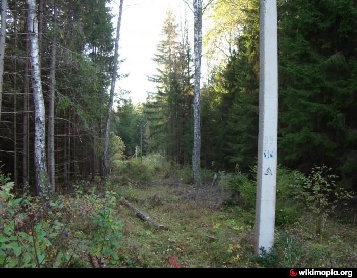 Что такое просека. Прокшино лес просека. Вдоль просеки. Ширина Лесной просеки. Ориентир просека.