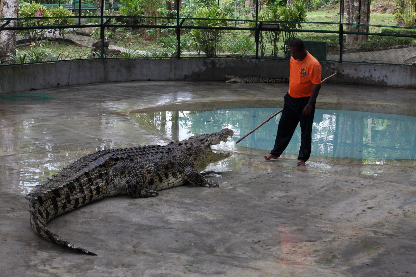 crocodile Park