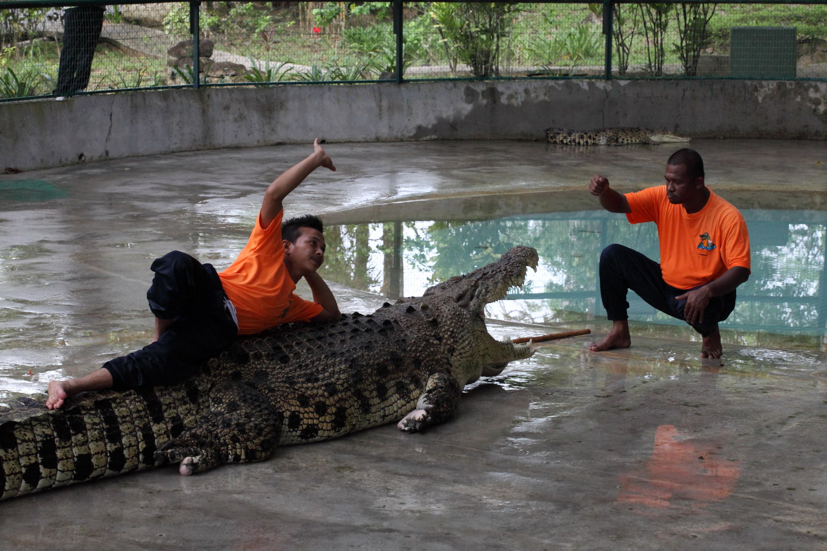 crocodile Park