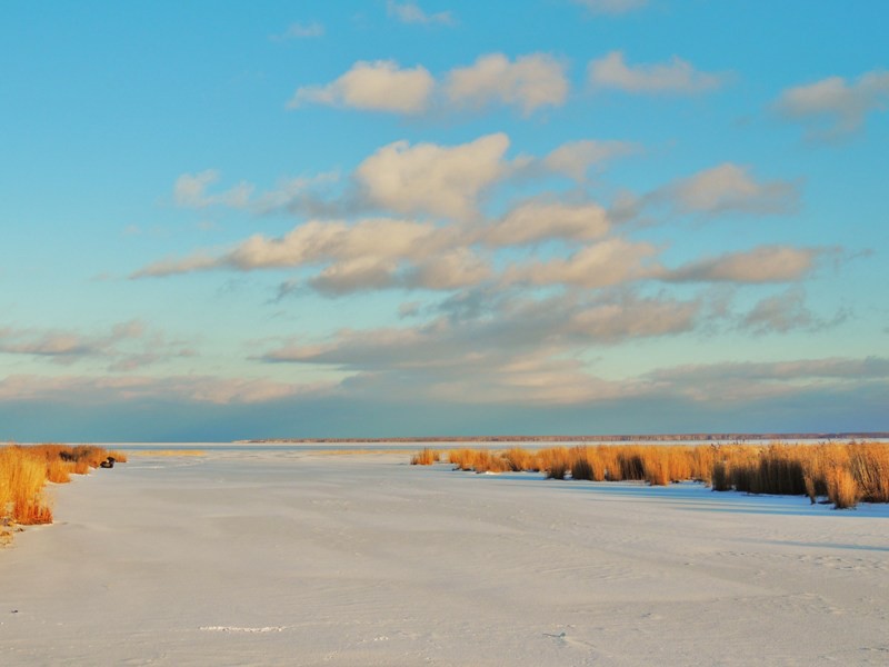 Озеро салтаим омская. Крутинка озеро Салтаим. Озеро ИК Омская область. Крутинские озера Омская область.