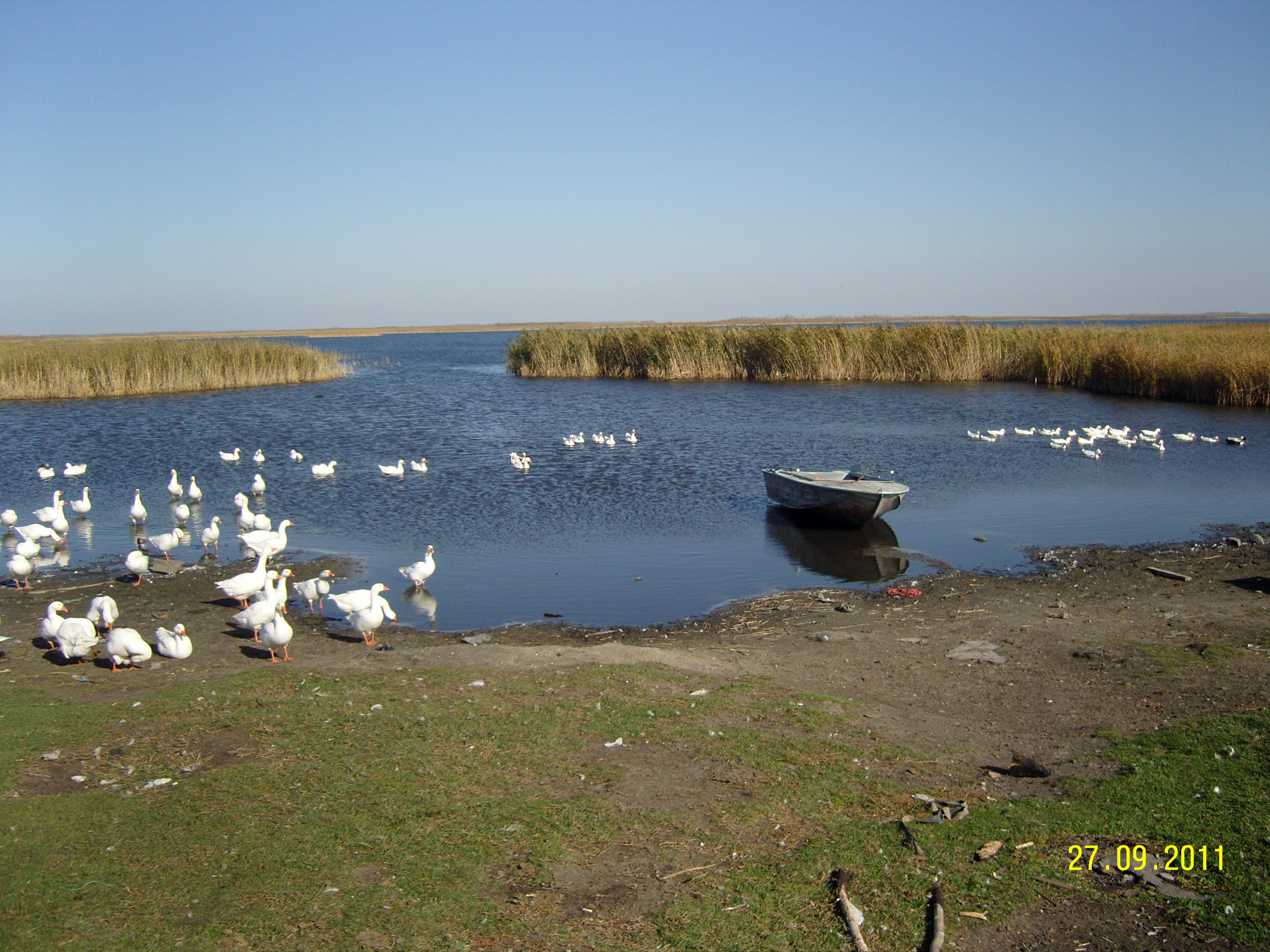 Погода в угуе. Озеро Угуй. Озеро Угуй Новосибирская область. Озеро Сартлан. Сартлан озеро Омск.