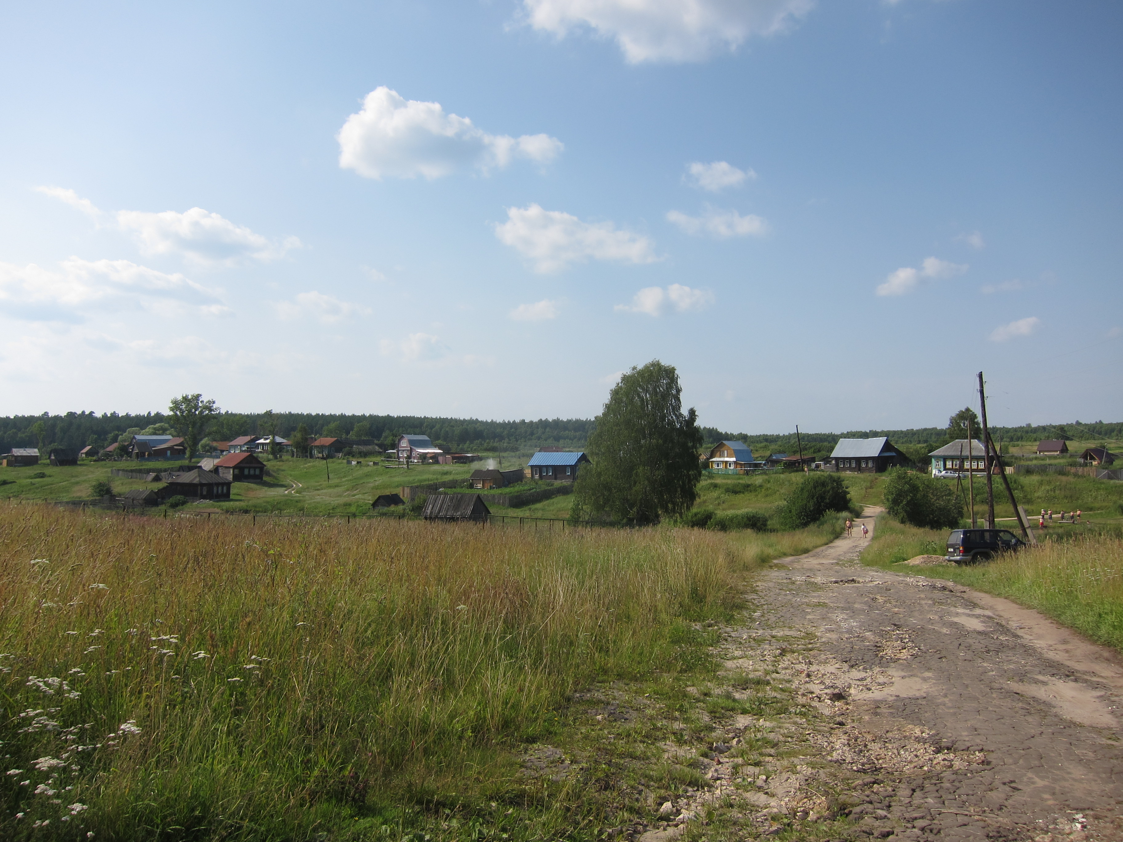 Меньщиково деревня Нижегородская область Арзамасский.