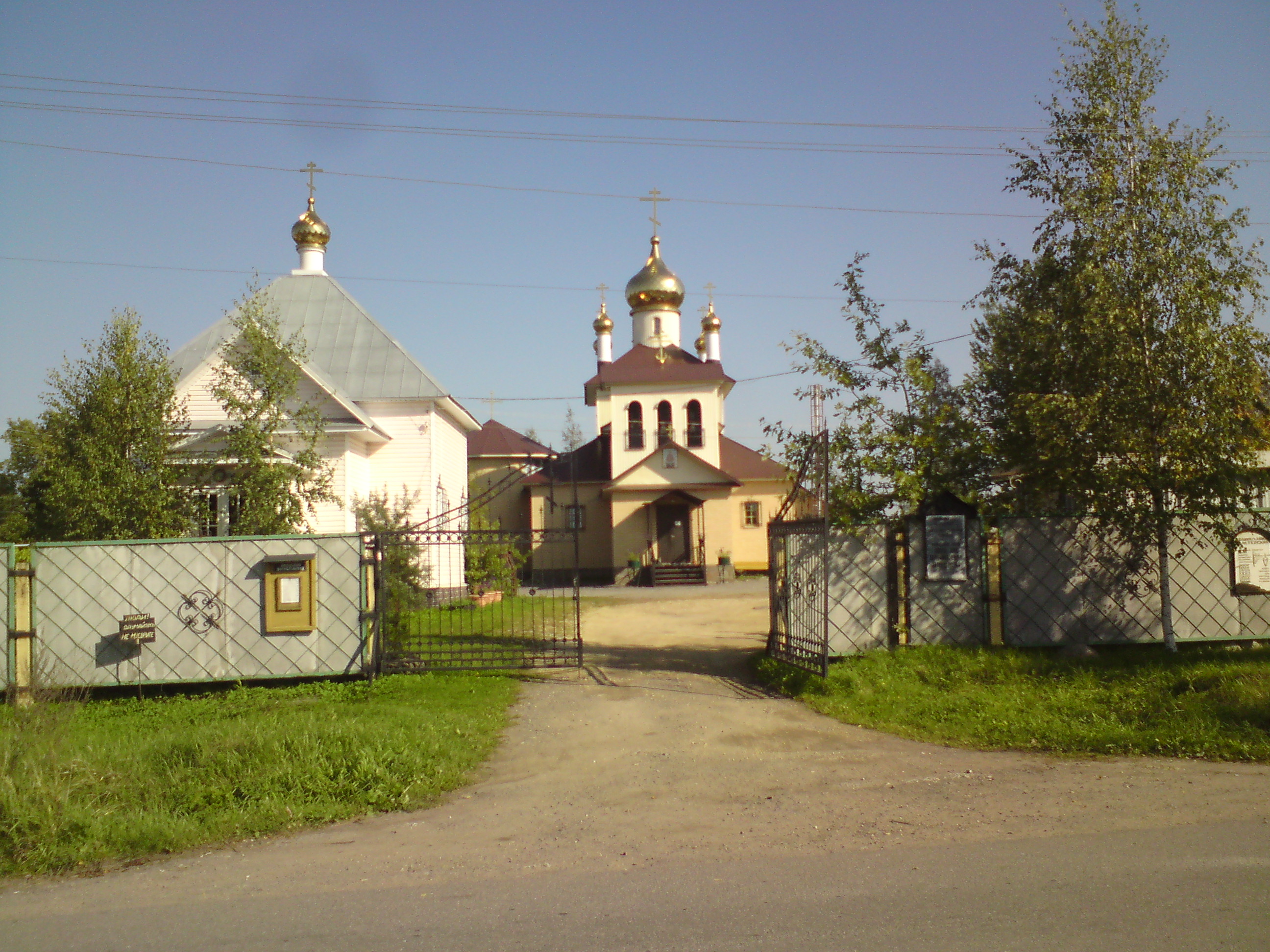 Красный Бор Фото Ленинградская Область