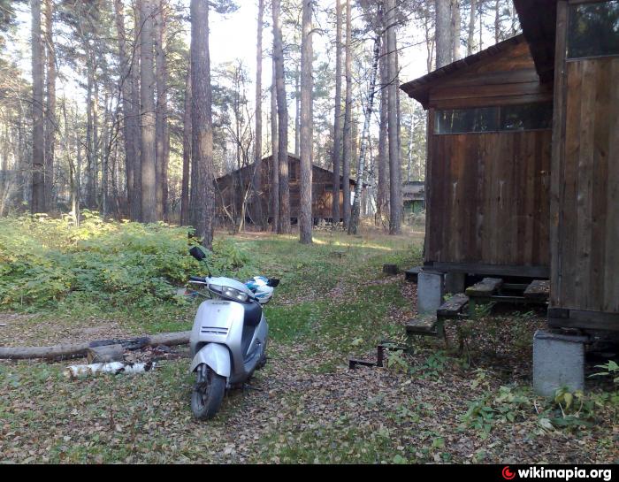 Чкаловские дачи. Экопарк Чкаловские дачи Новосибирск. Экопарк Чкаловские дачи, дачный посёлок Мочище. Эко парке “Чкаловские дачи”. Экопарк Чкаловские дачи (дом отдыха Мочище, микрорайон 4).