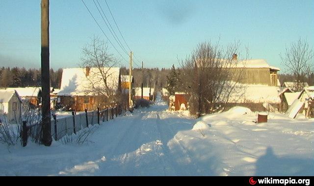 коллективный сад 1. коллективный сад 1. коллективный сад. коллективный сад картинки. авито учалы недвижимость коллективный сад 1 и 2 с баней.