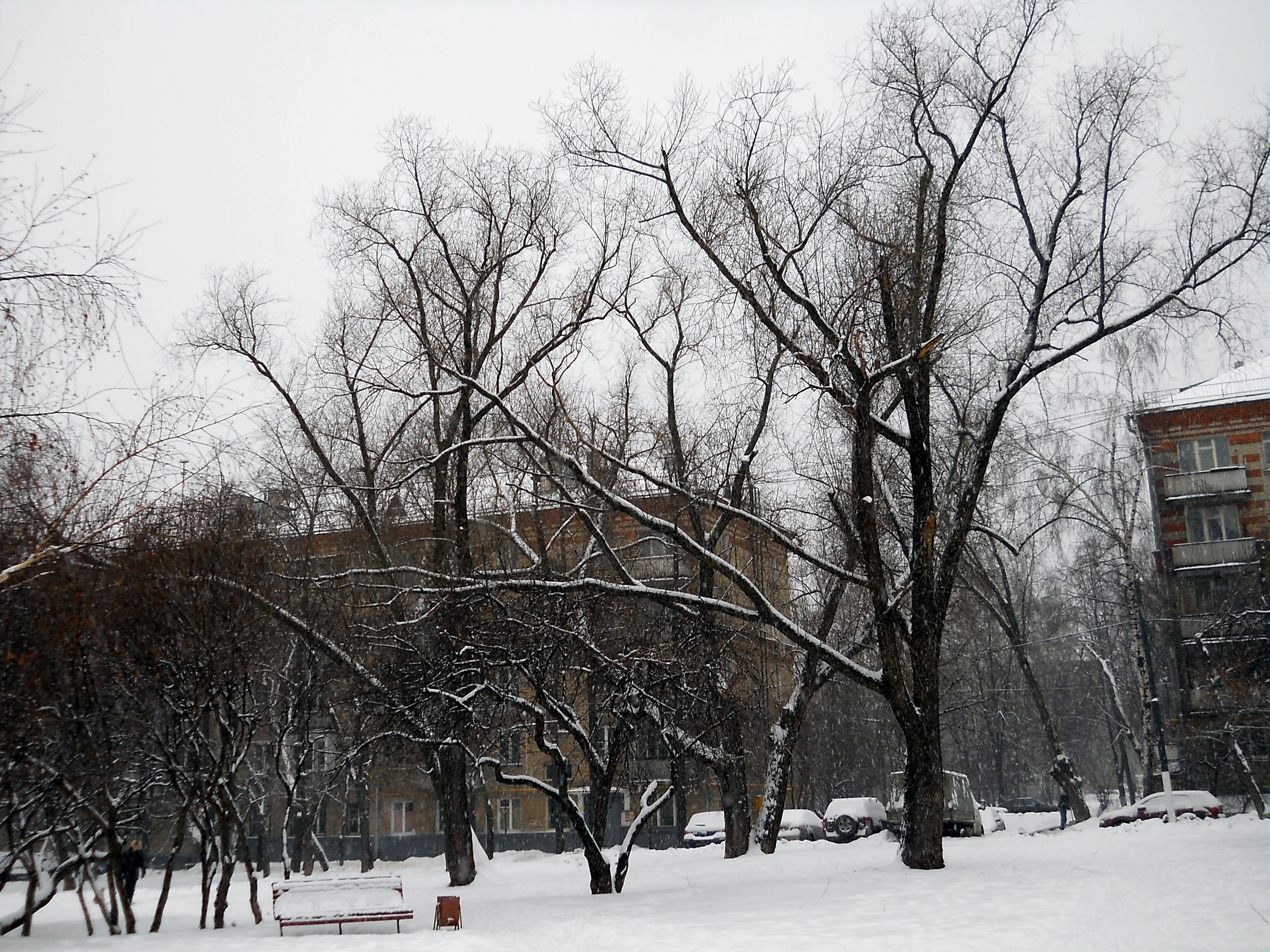 деревня шайдрово москва