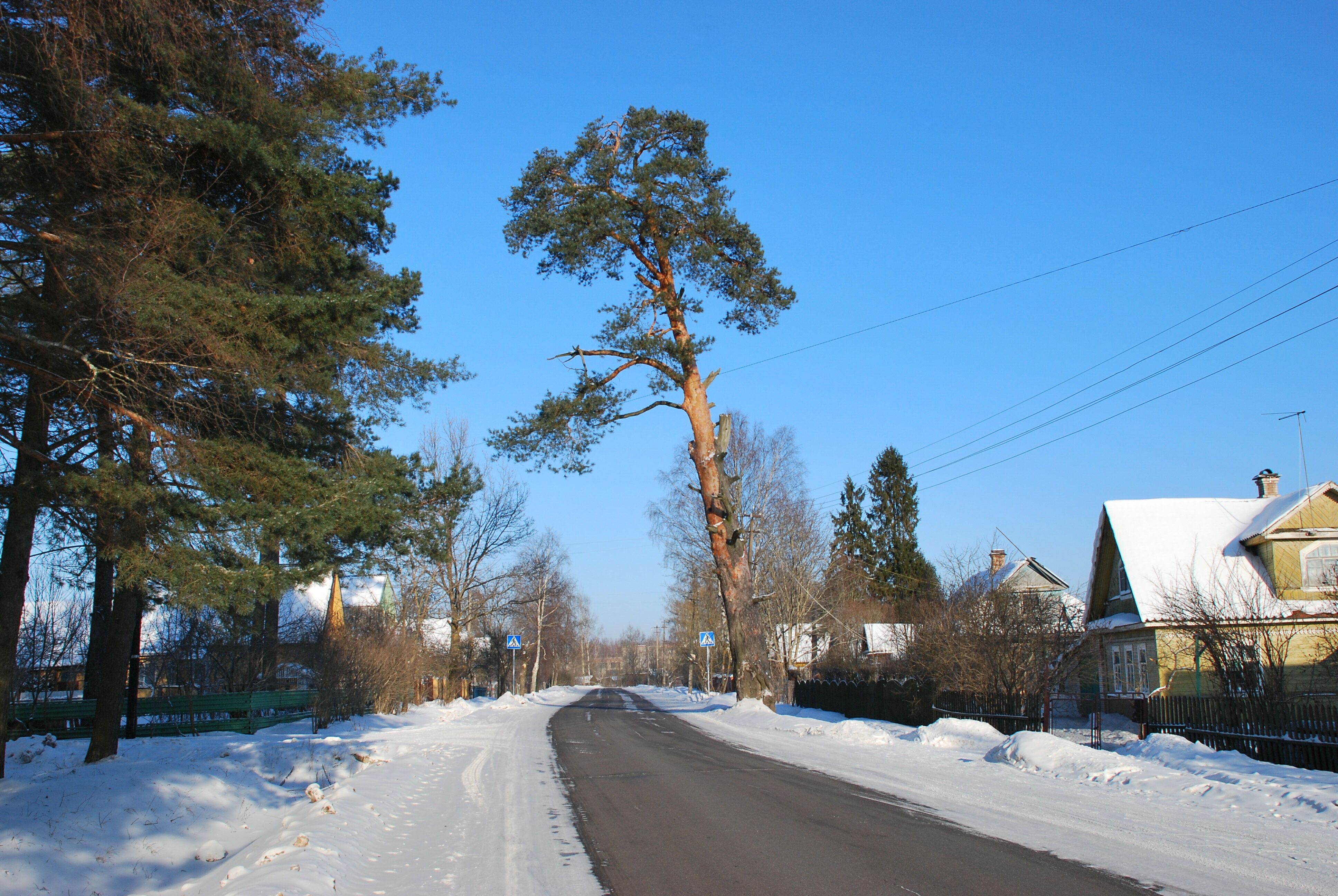 Фото деревня горки