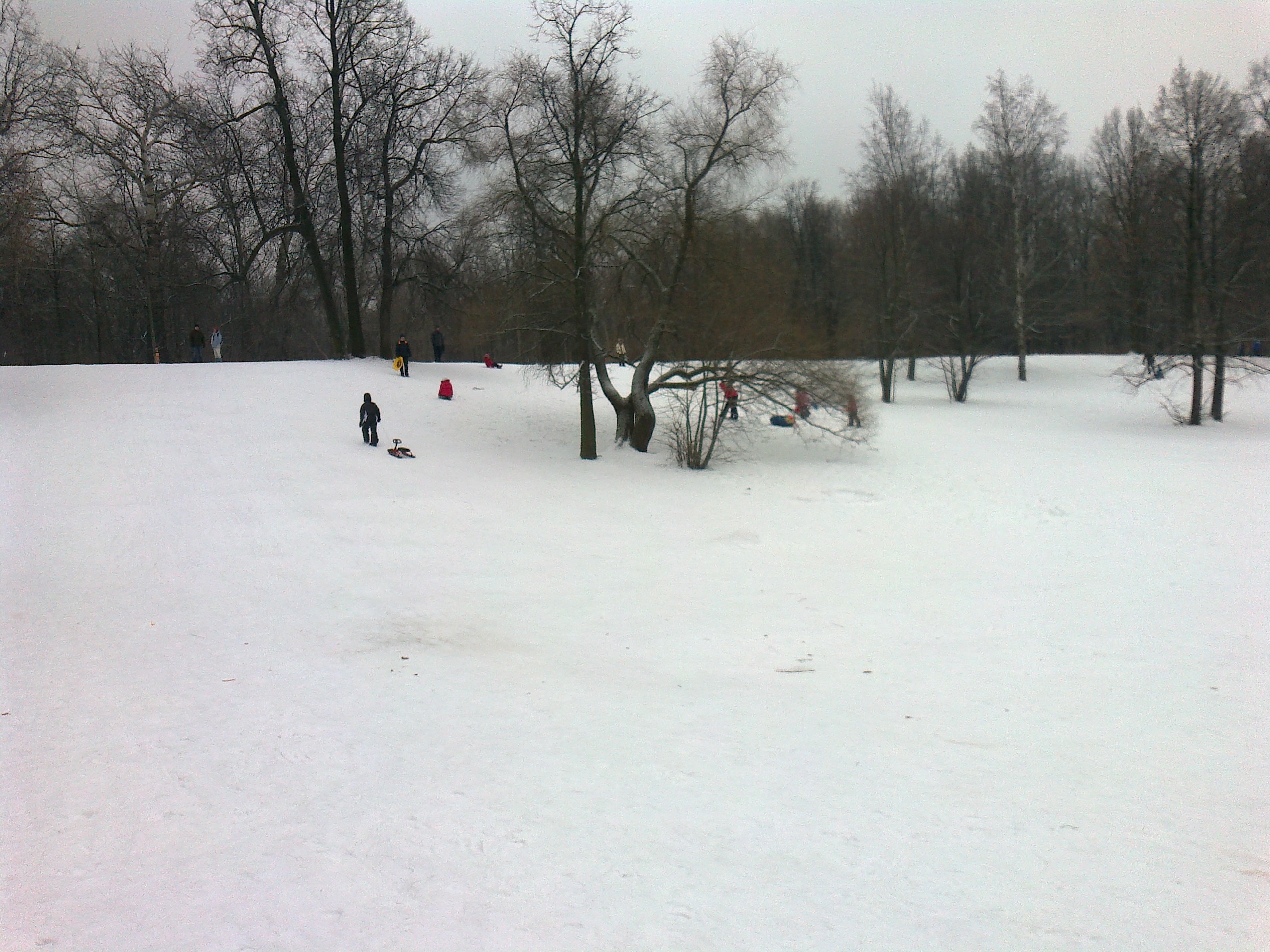 парк в кузьминках зимой