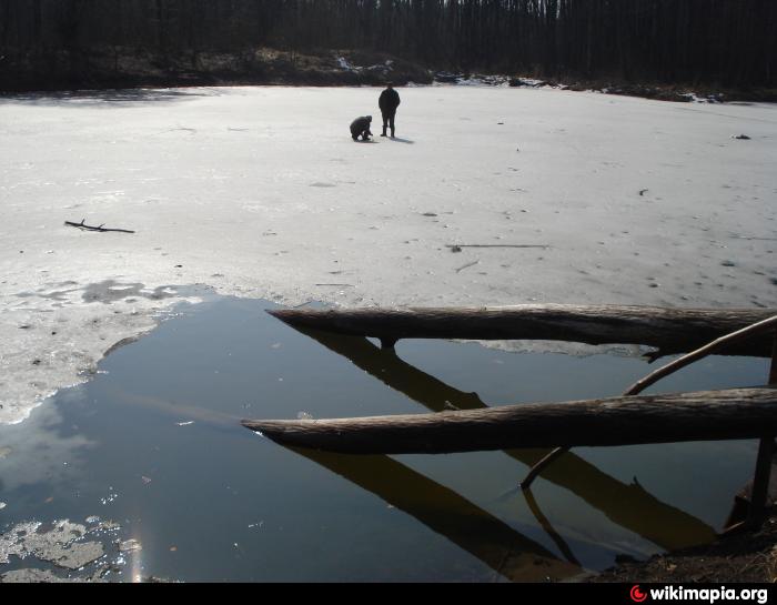 Soldatske lake