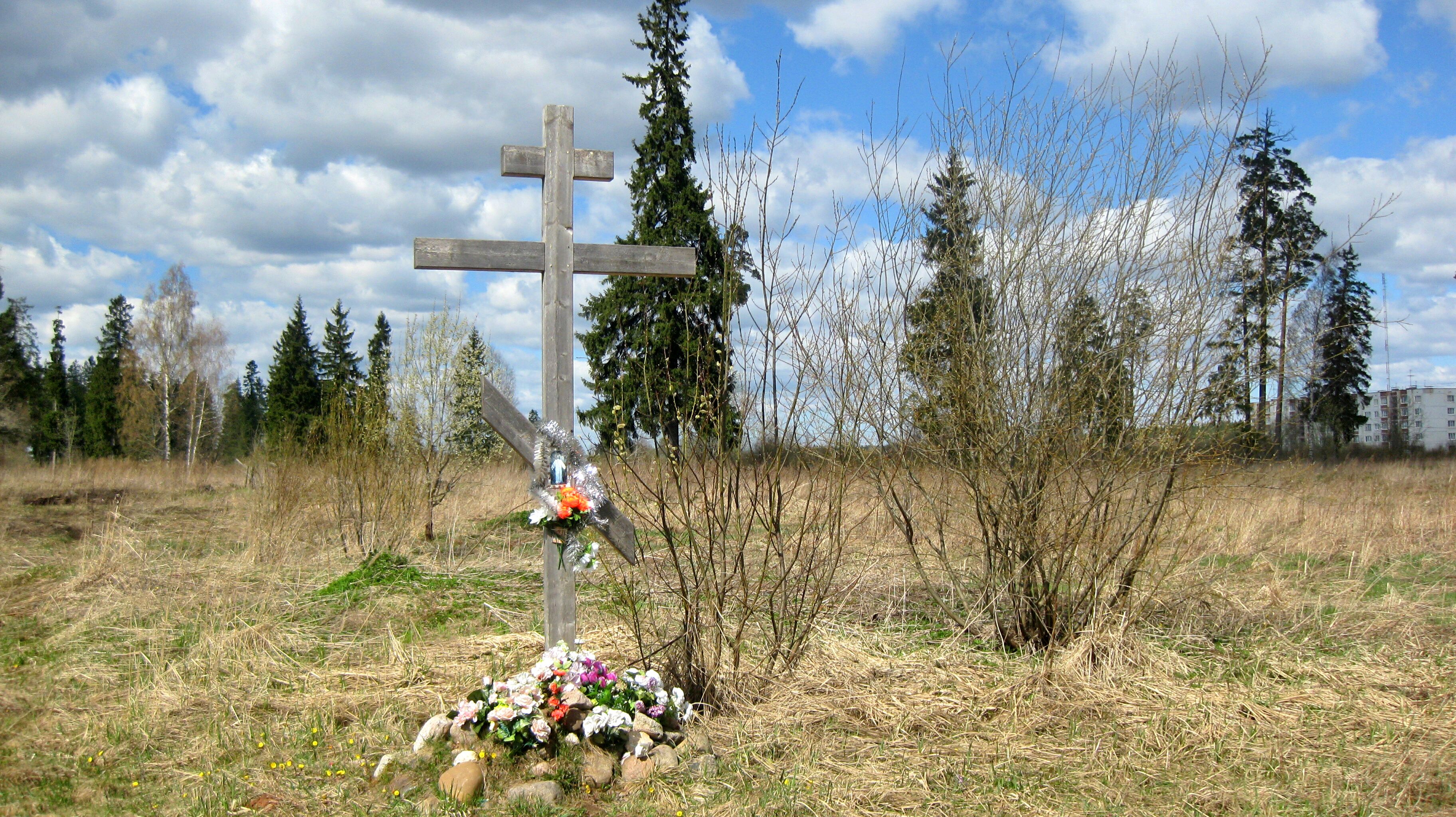 Погода пинаевы горки новгородская область. Деревня дружная горка. Дружная горка фото.