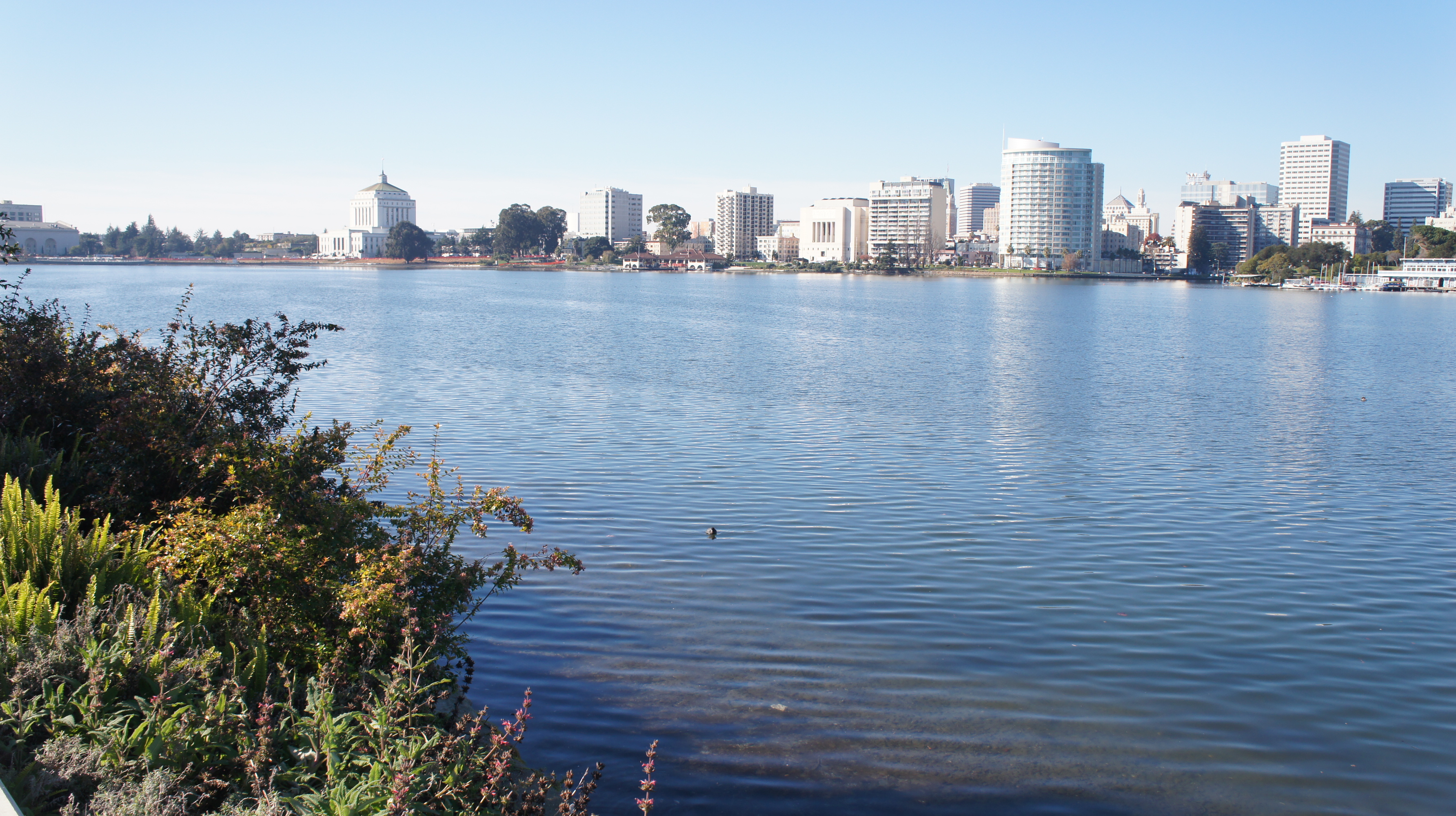 美丽湖 (奥克兰)