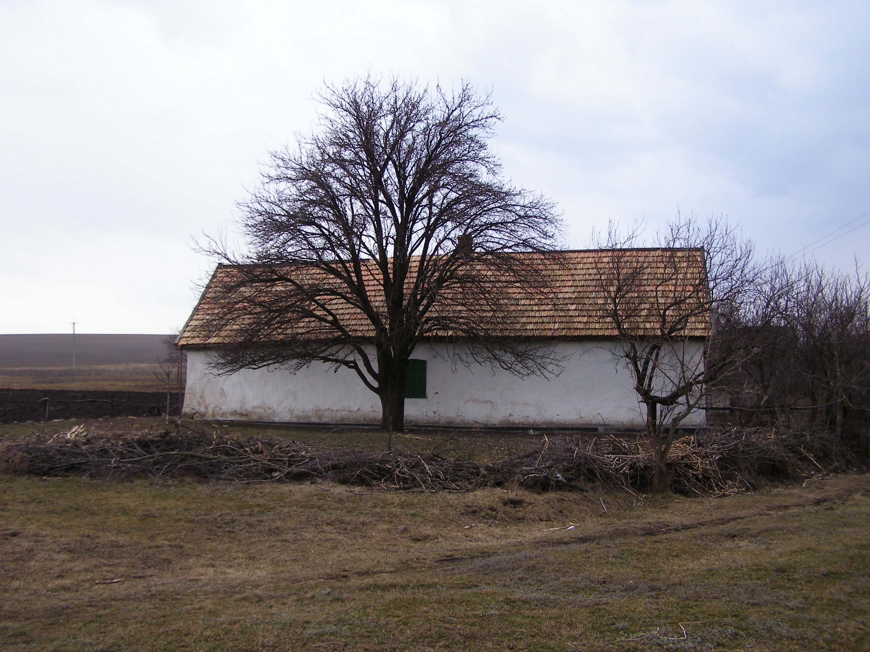 Павловка херсонский. Село Павловка Херсонская область. Село Павловка Донецкая область. Лозовая Павловка Луганская область.