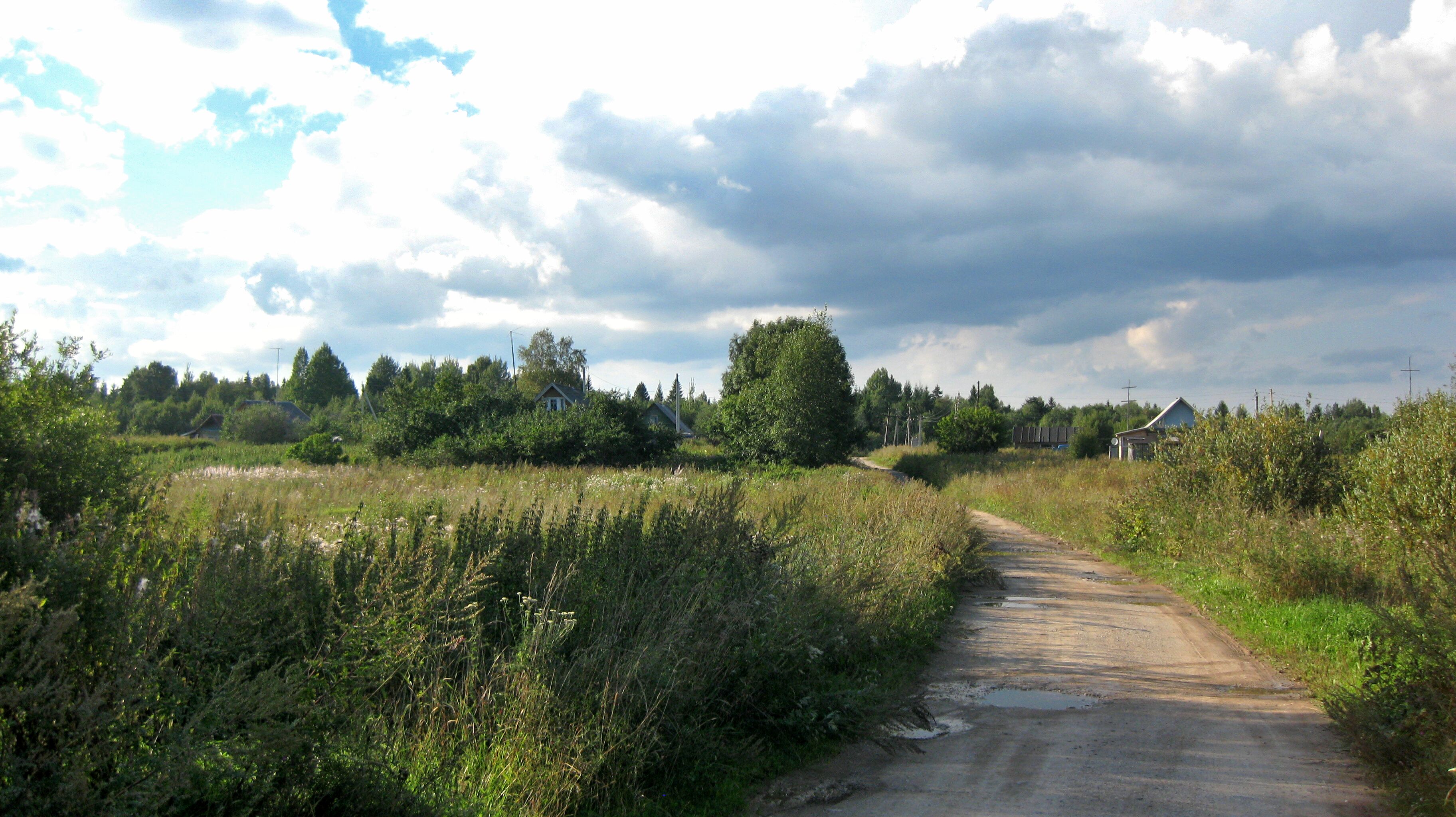 Село 8. Замежье Лужский район. Замежье деревня Ленинградской области. Деревня Бор, ям-Тесовского поселения. Ям-Тесовское сельское поселение Лужского района.