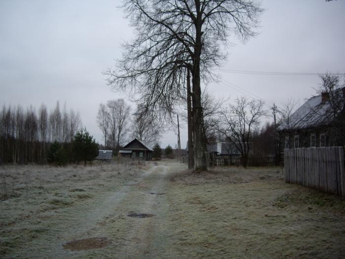 Гисметео марево новгородской. Марёво Новгородская область. Деревня Марево Новгородская область. Село Васильевщина Новгородской области. Деревня Василевщина Маревского района Новгородской области.