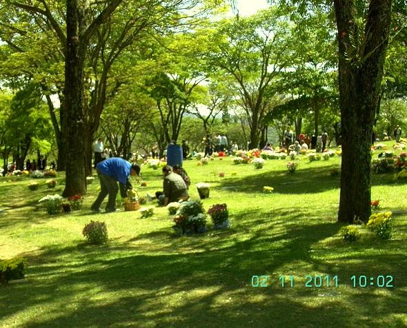 Actualizar 96 Imagem Cemitério Parque Do Ipê Vn