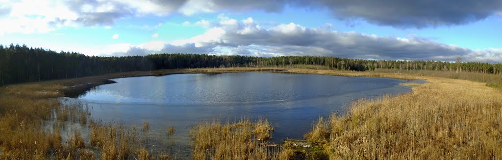 Озеро панино балашиха фото