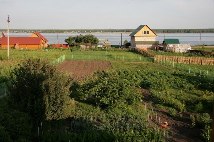 Купить Дом В Антоново Ордынский Район