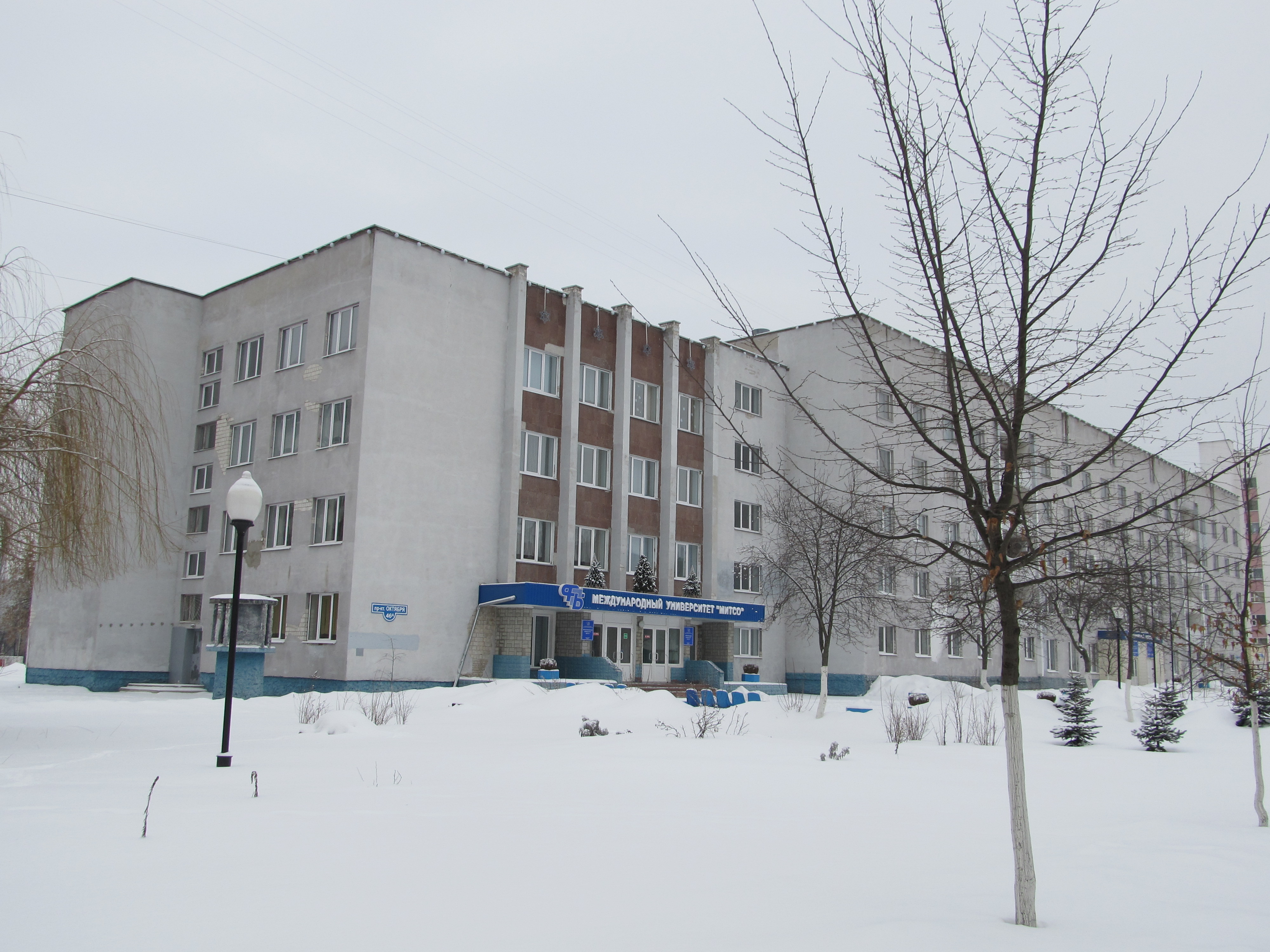 Митсо Минск Фото