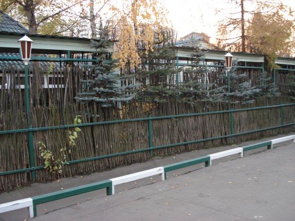 Ресторан березка в гольяново