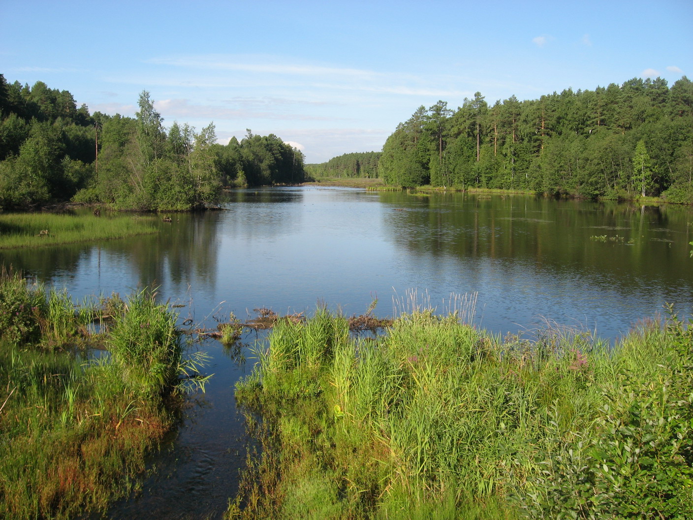 светлая река