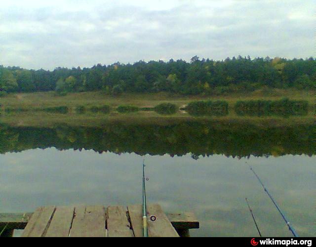 Ставков ру. 8 Наклонная Донецк ставок. Ставок восьмерка. Ставок ХАМЕН. Платные ставки в Донецке.