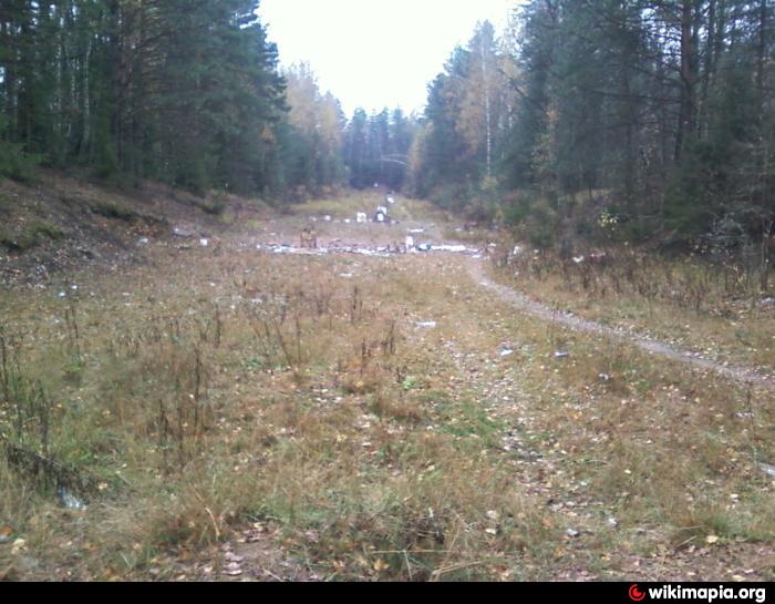 Ногинское общество