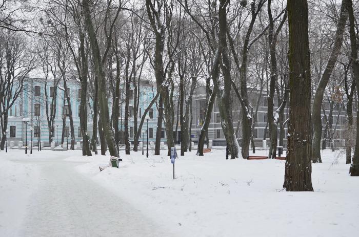Ministry of Health of Ukraine - Kyiv