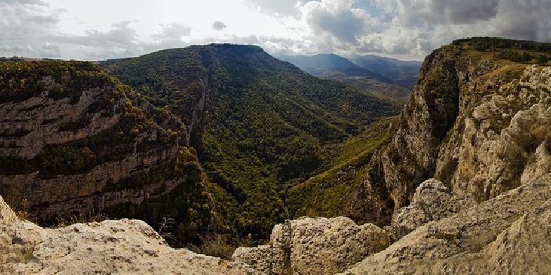 Daşaltı dərəsi