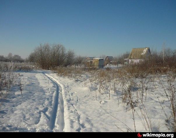 Погода сырьево снт радуга