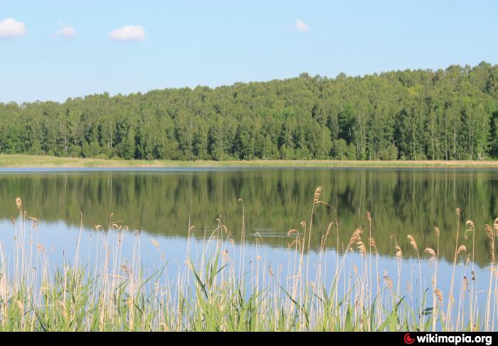 Погода сухое озеро. Озеро сухое Мелеузовский. Озеро сухое Красноярский край. Сухое озеро Башкортостан. Озеро сухое Новгородская область.