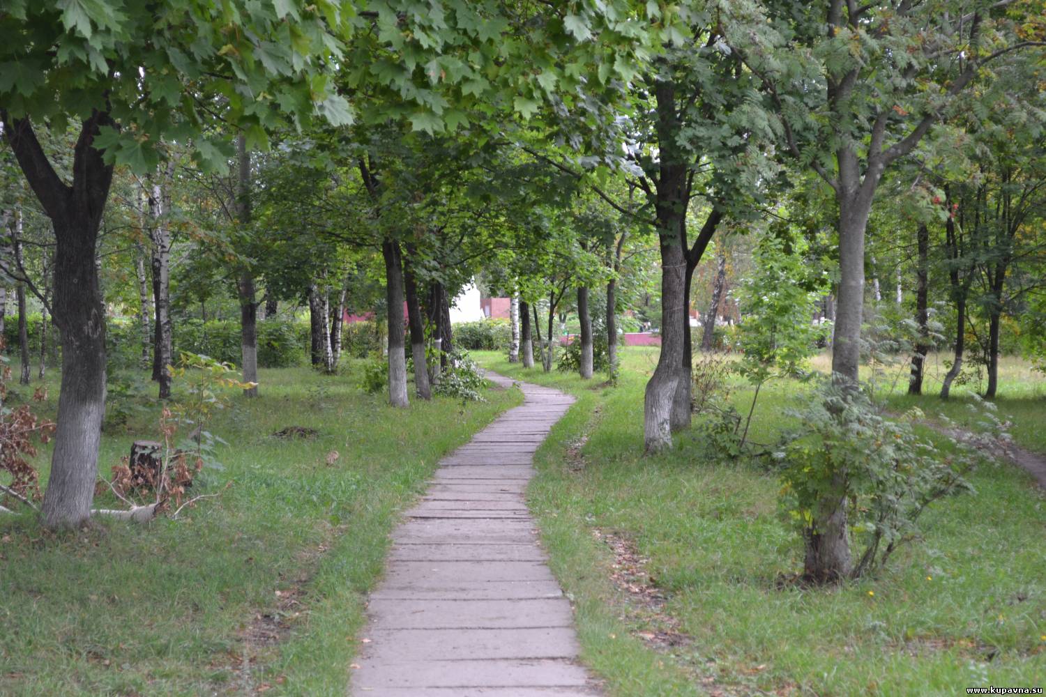 храм в старой купавне