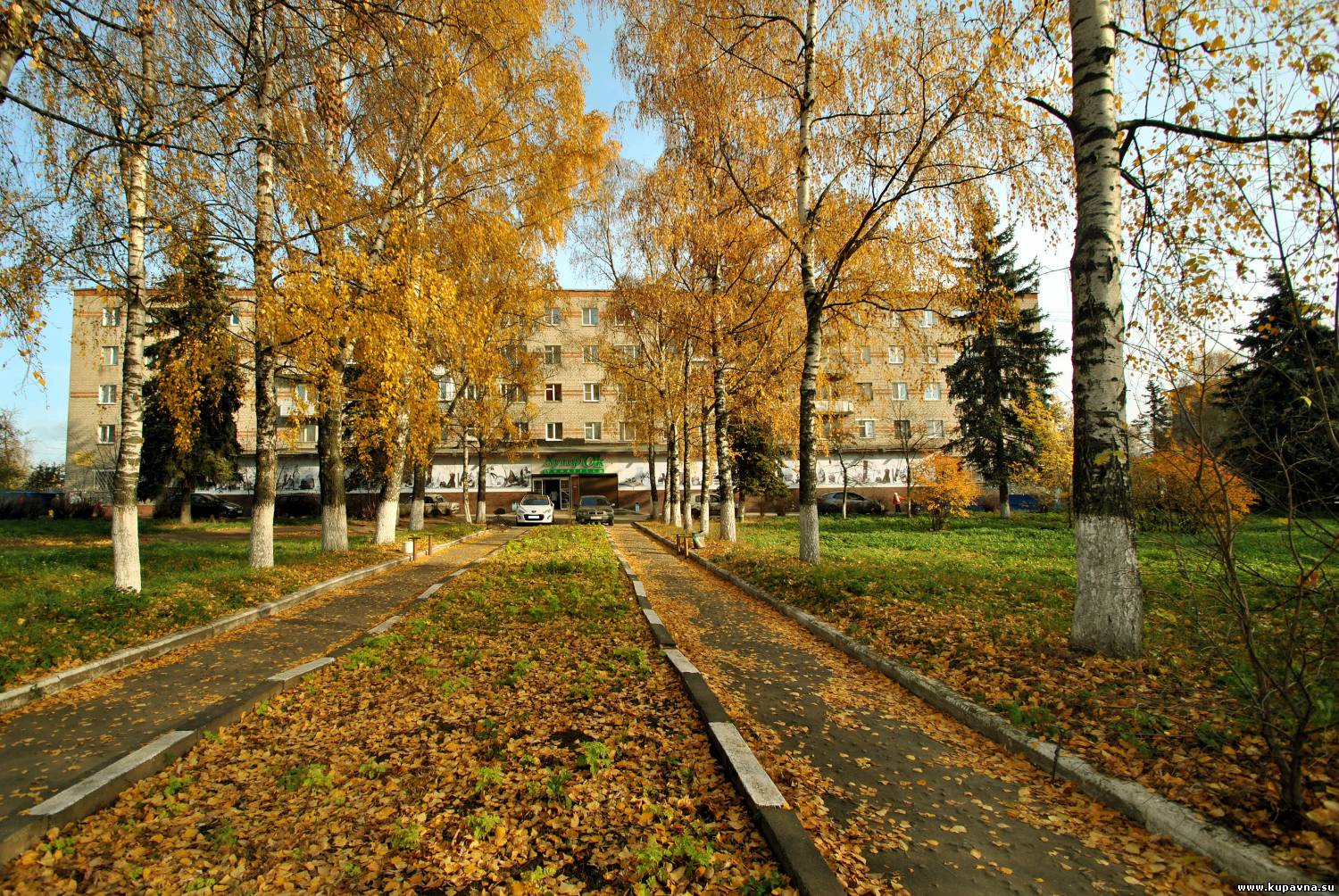 храм в старой купавне