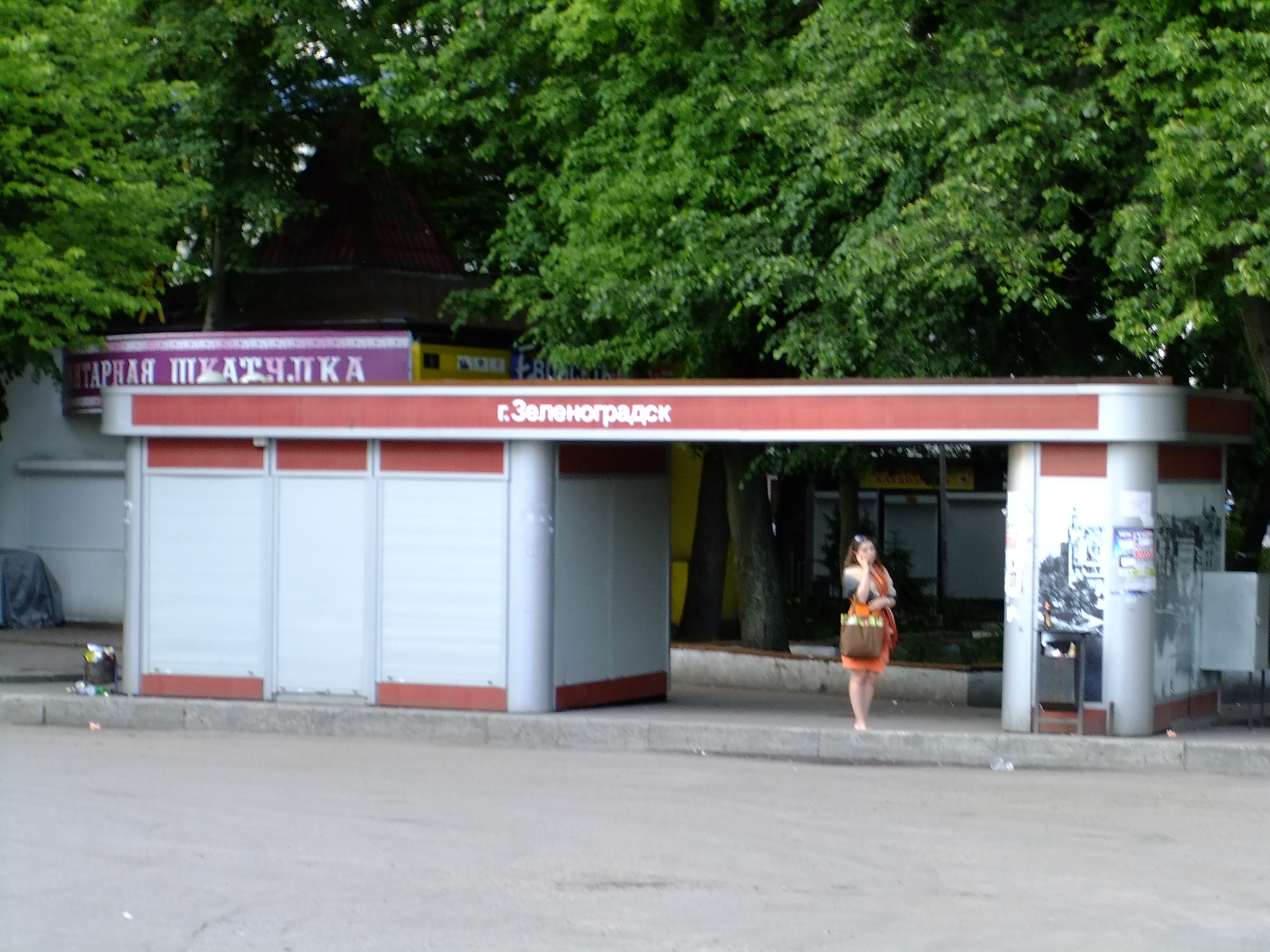 Зеленоградск остановка автобуса