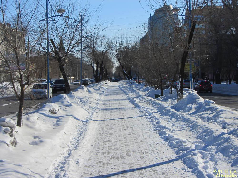 Горького благовещенск. Улица Горького Благовещенск. Горького 97 Благовещенск. Горького 197 Благовещенск. Аллея по улице Горького Благовещенск.