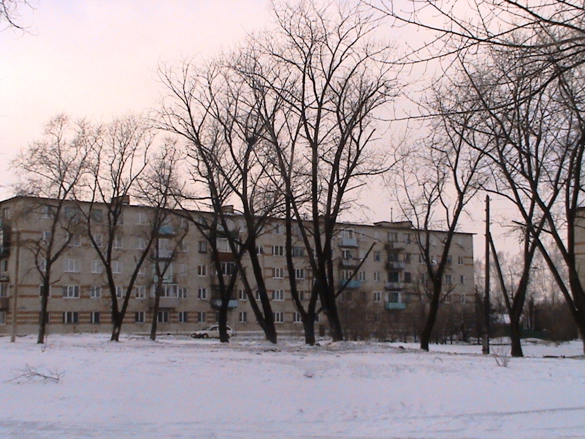 Липовцы приморский край. Поселок городского типа Липовцы. Улица Ленина дом 49. Село Липовцы улица Ленина.