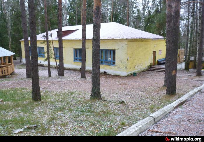 Лагерь лесной. Пионерский лагерь Лесной городок. Лагерь Лесной городок Владимирская область. Лагерь Лесной городок Бийск. Лагерь Лесной городок Пенкино Владимирская область.