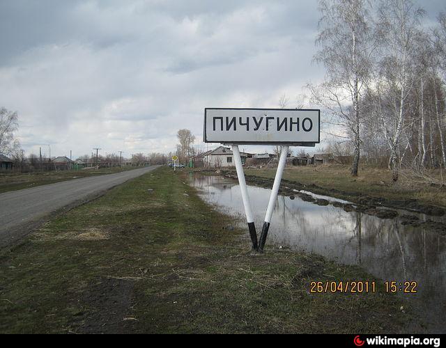 Погода в пичугино курганская область. Курганская область село Пичугино. Пичугино Курганская область Варгашинский район. Деревня Пичугино. Село Пичугино Варгашинский район Курганской области.