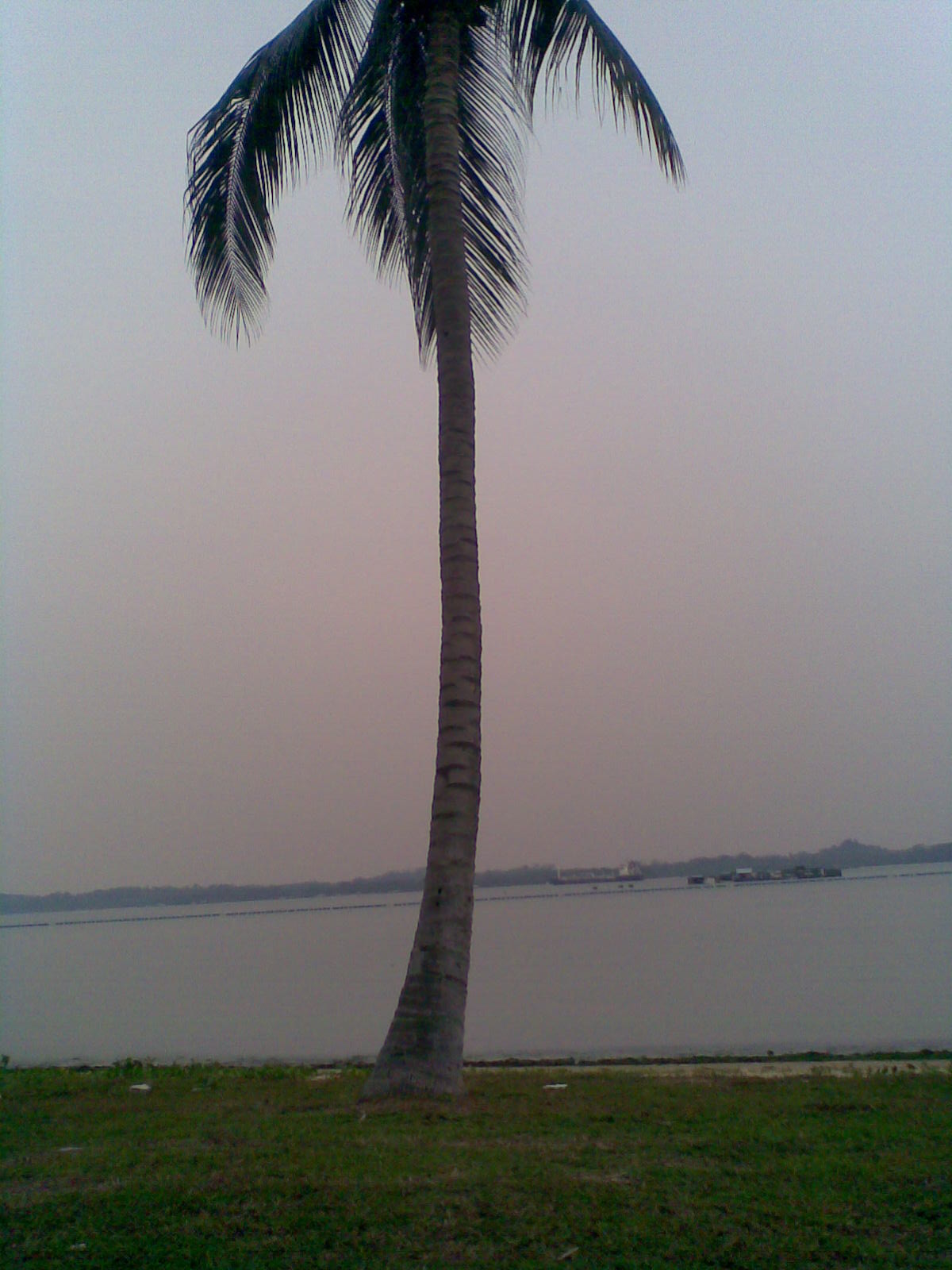 Pasir Ris Park - Republic of Singapore