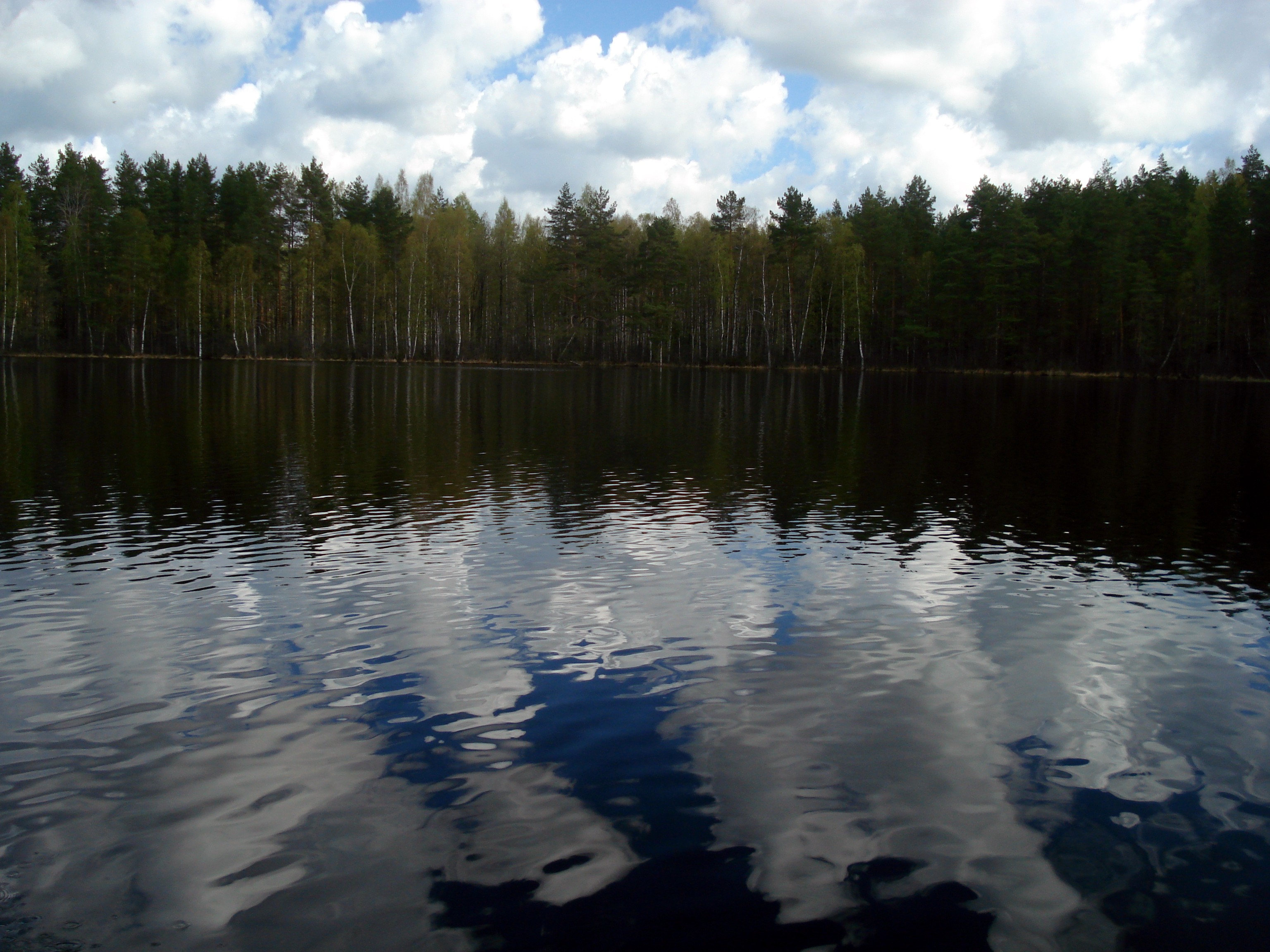 Озеро долгое Московская область