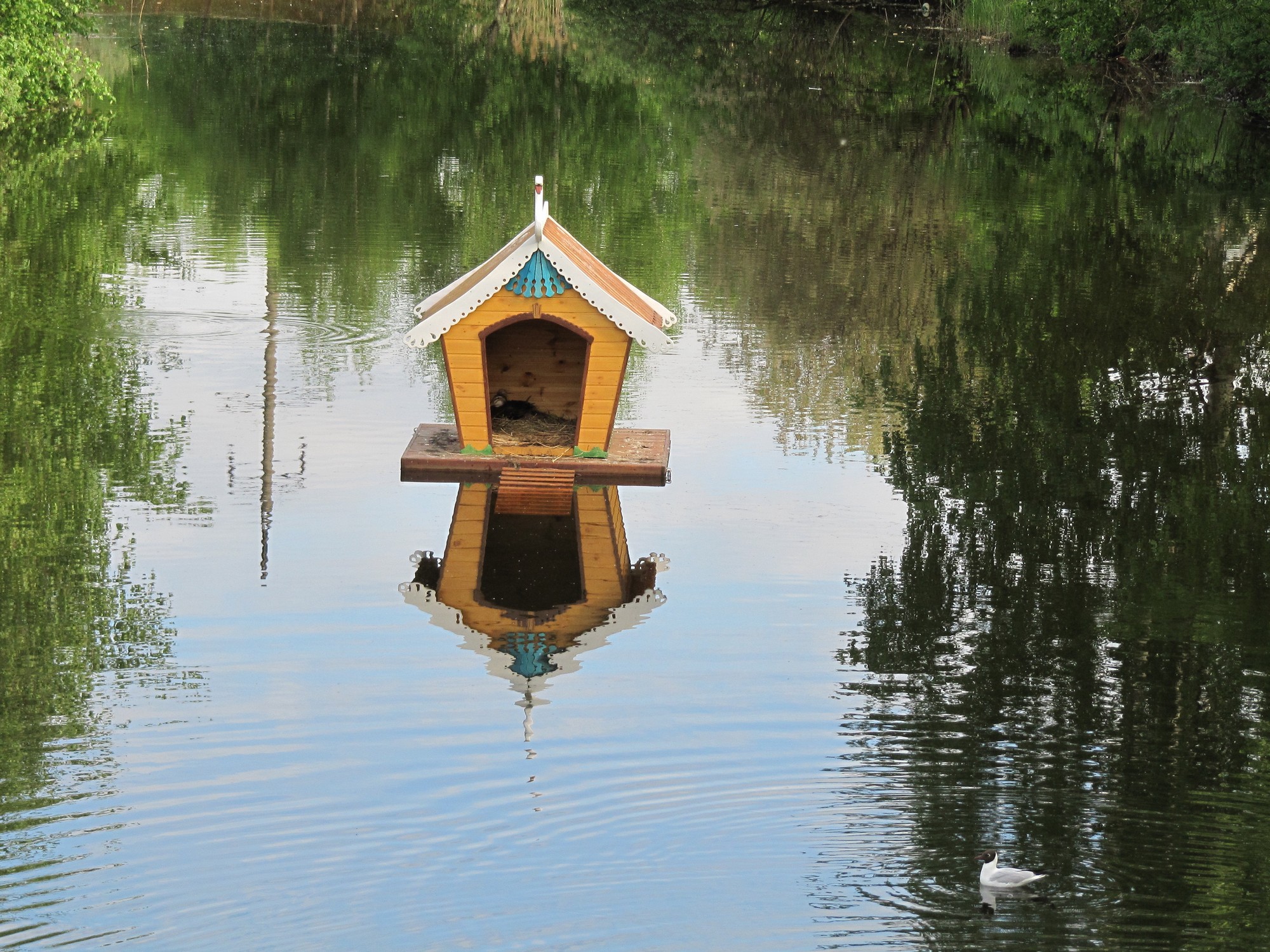 "Limpopo" Zoo - Nizhny Novgorod
