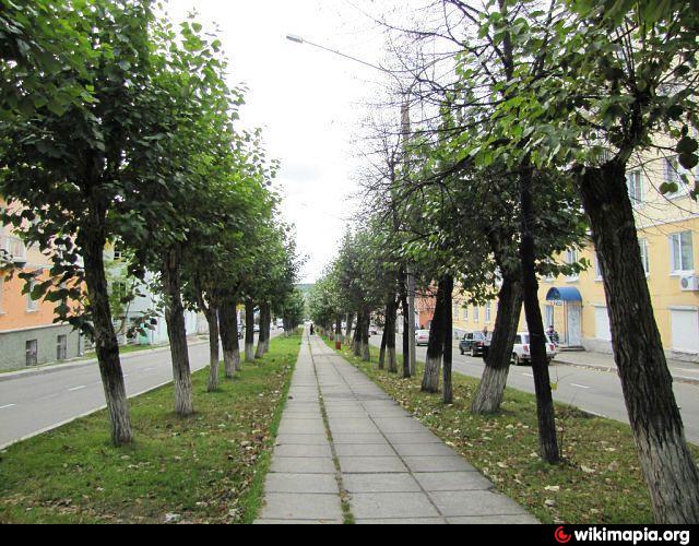 Аллея бульвар. Аллея Краснотурьинск. Пешеходная аллея Старая. Пешая аллея в Донецке. Пешеходная аллея в центре Одессы.