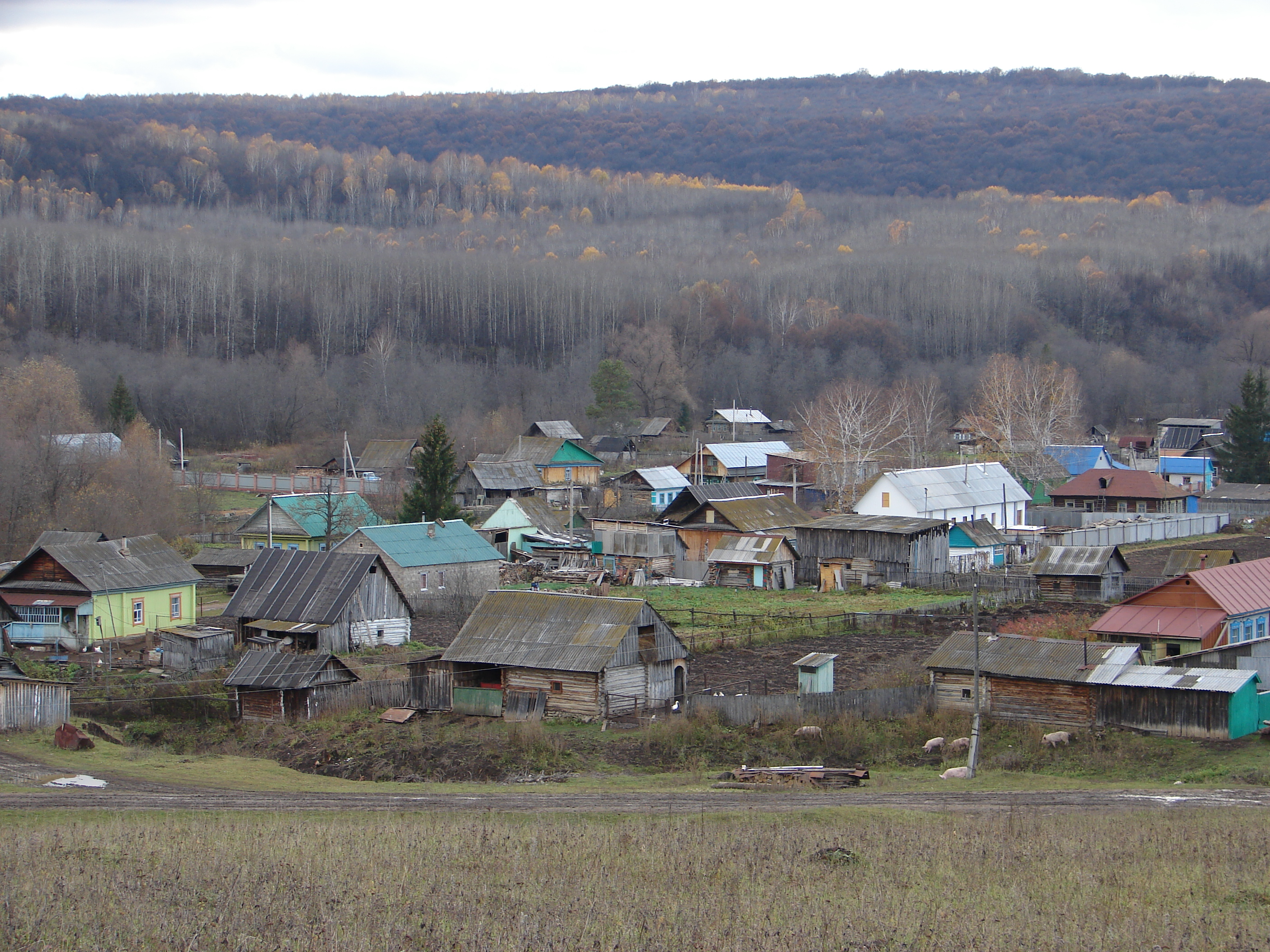 Башкирская асср деревни