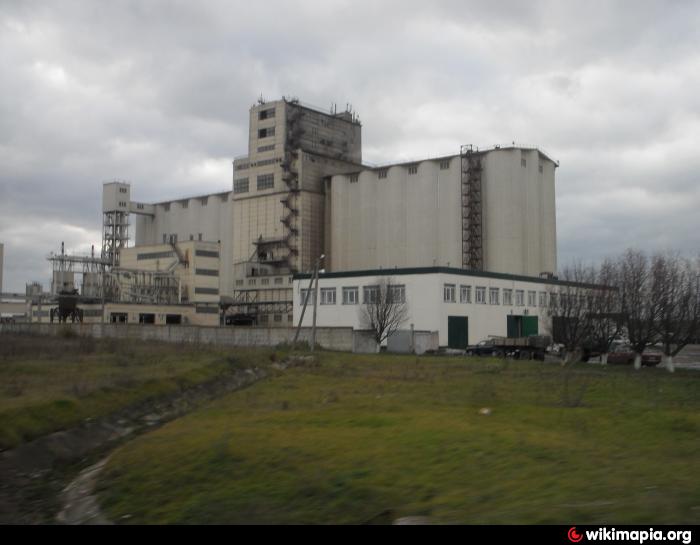 Завод стр. Острогожский солодовенный завод. Солодовый завод Острогожск. Острогожский элеватор. Элеватор Острогожск.