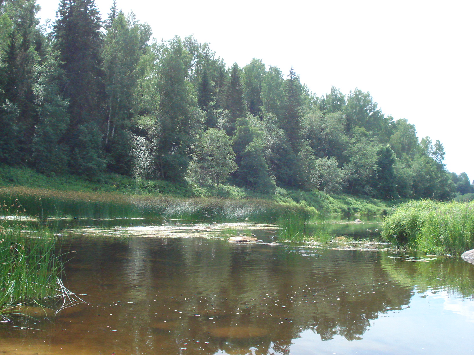 Новгородская область холмский