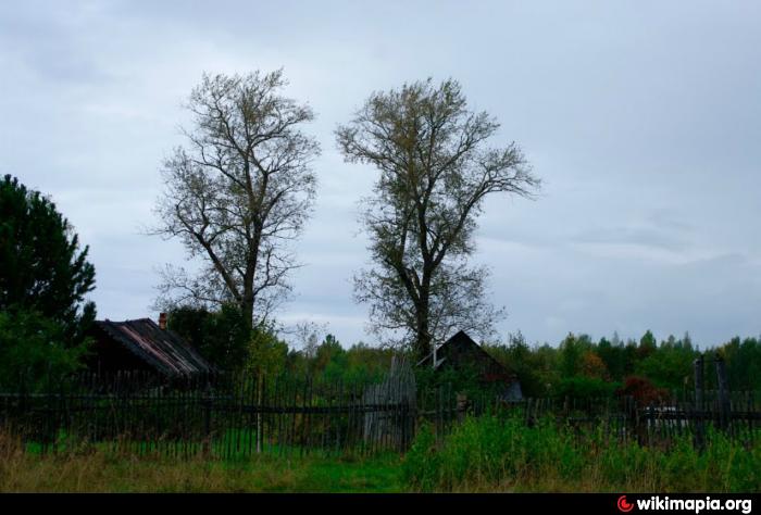 Код починок. Деревня Починок Ярославская область. Деревня Харинская Рыбинский район. Починок Болотово Рыбинский район. Деревня Починок Рыбинский район.