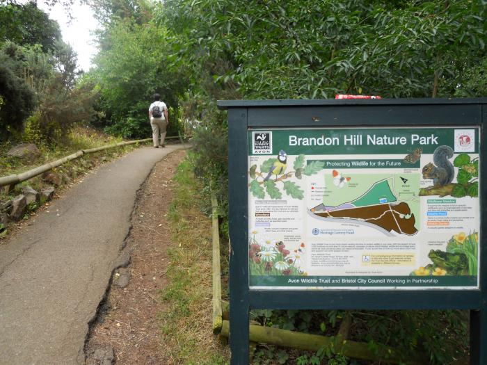 Brandon Hill Nature Park Map